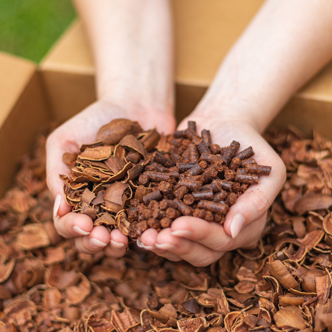 A pair of hands holds coarse pecan shells and Smokin’ Pecan Shell Pellets—2 lb Bag—in dark brown, above a box filled with similar shells.